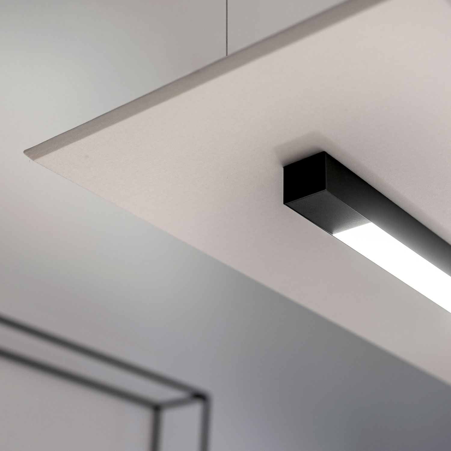 Pluq In Licht