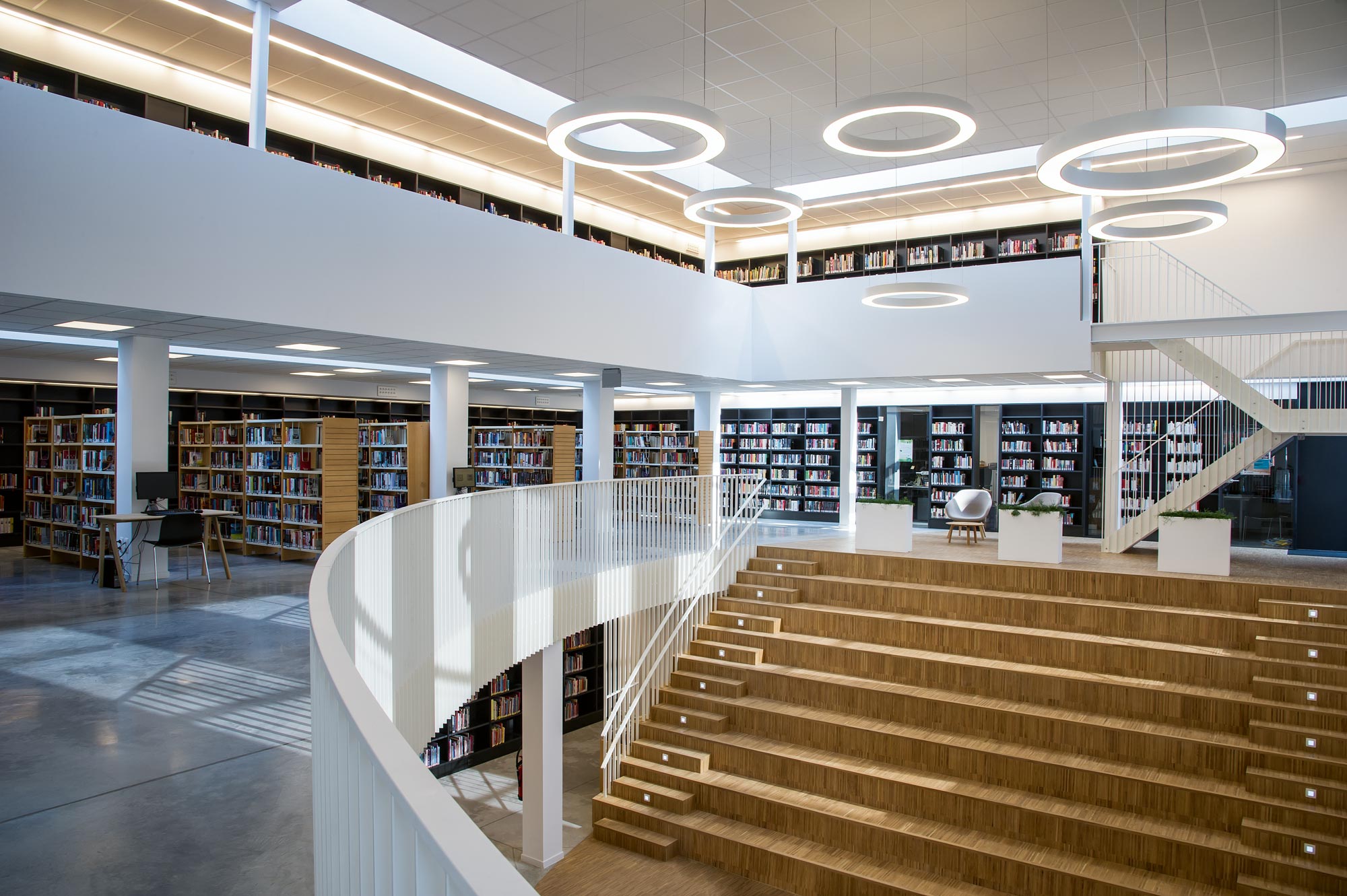 Glorious circular pendant luminaires for harmonious light distribution in the university library