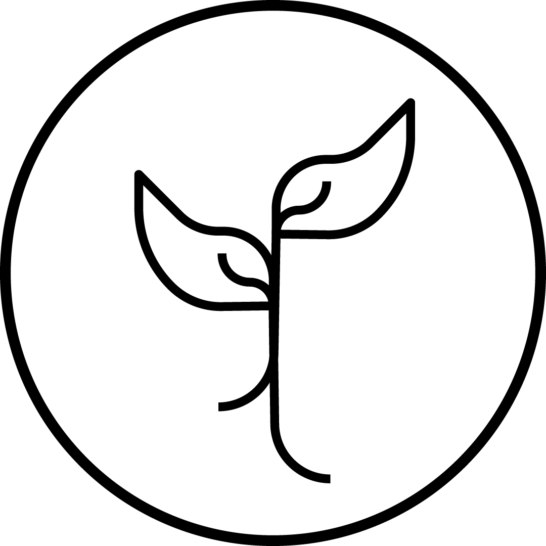 Recurso 5