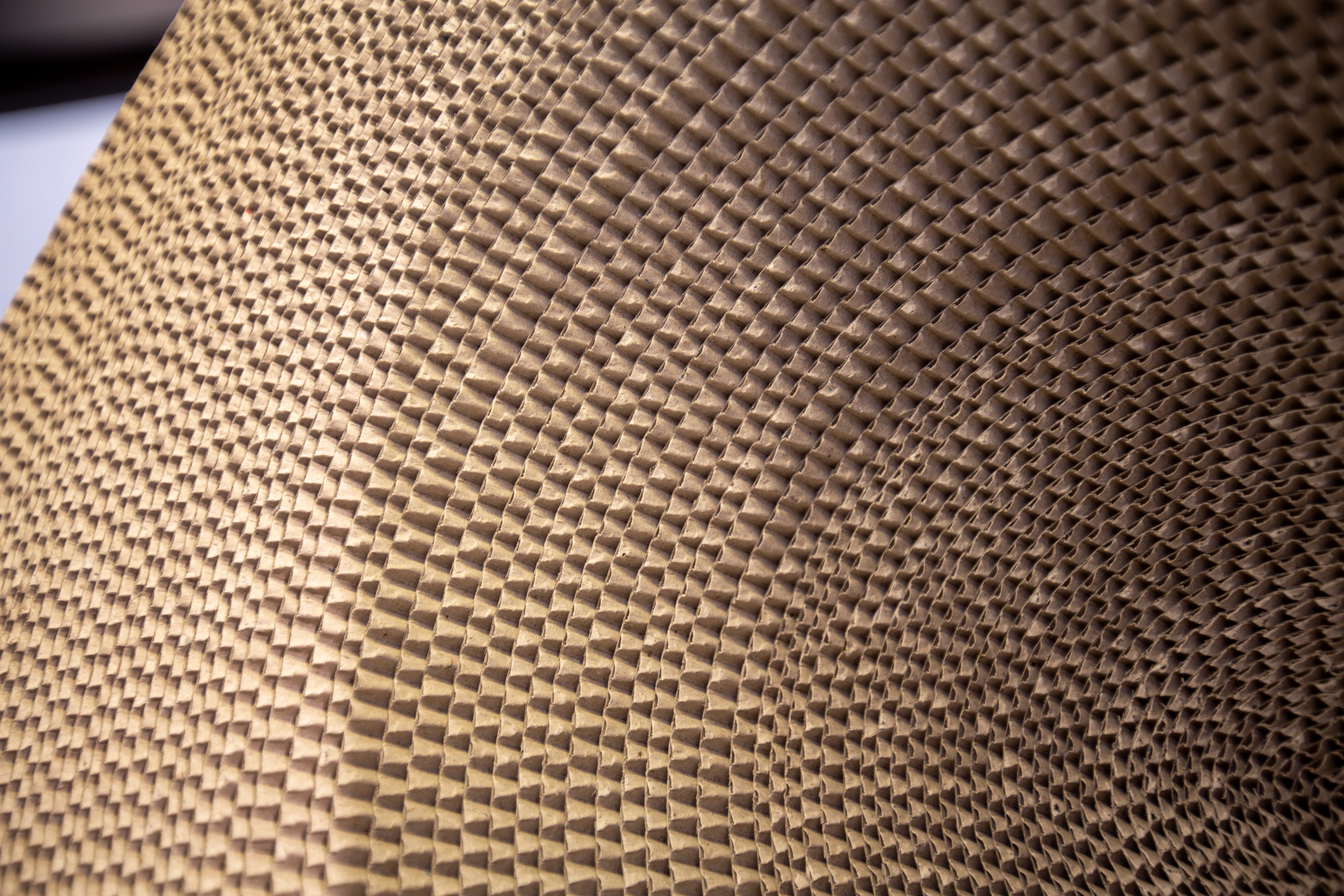 1G7B2123